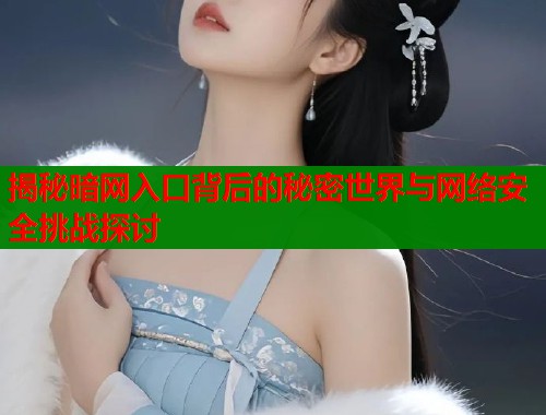 揭秘暗网入口背后的秘密世界与网络安全挑战探讨