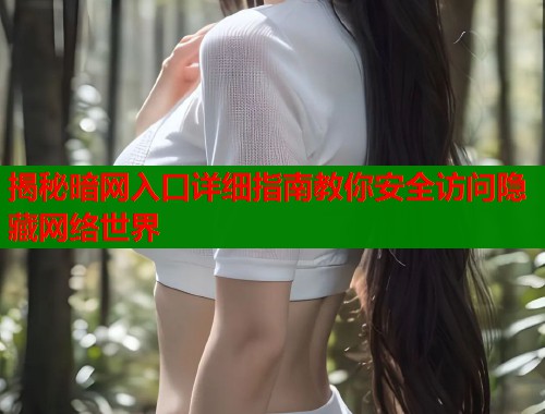 揭秘暗网入口详细指南教你安全访问隐藏网络世界
