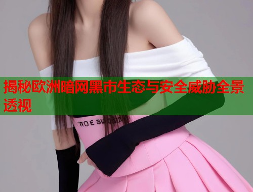 揭秘欧洲暗网黑市生态与安全威胁全景透视