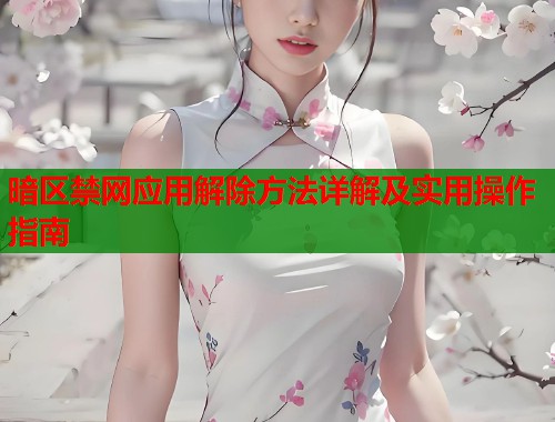 暗区禁网应用解除方法详解及实用操作指南