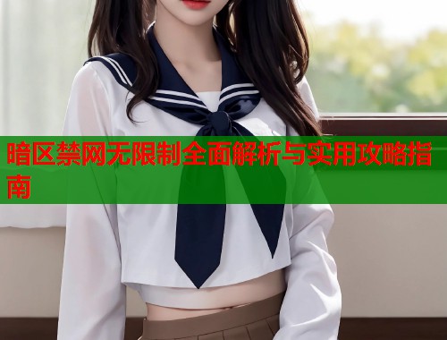 暗区禁网无限制全面解析与实用攻略指南