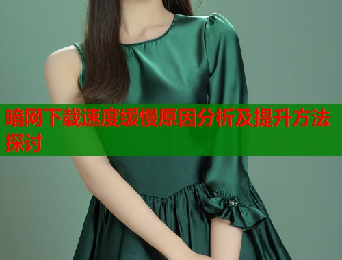 暗网下载速度缓慢原因分析及提升方法探讨  第2张