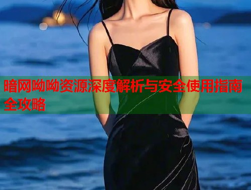 暗网呦呦资源深度解析与安全使用指南全攻略