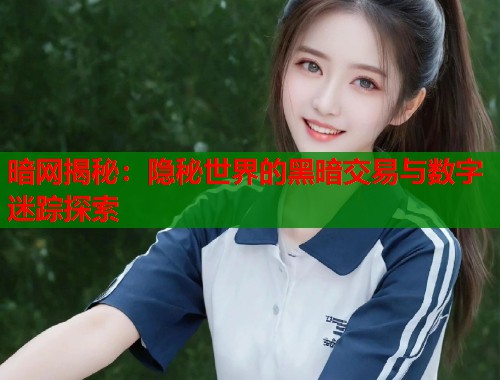 暗网揭秘：隐秘世界的黑暗交易与数字迷踪探索