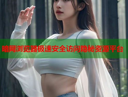 暗网浏览器极速安全访问隐秘资源平台