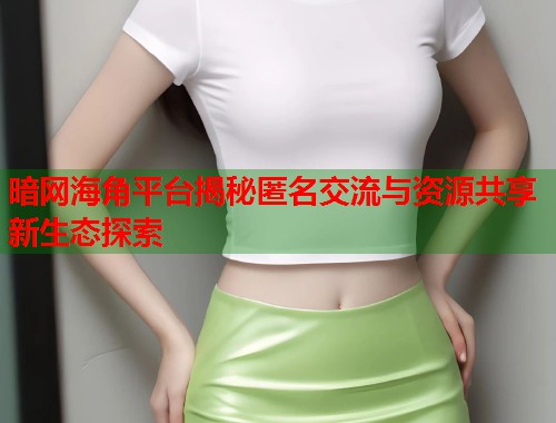 暗网海角平台揭秘匿名交流与资源共享新生态探索